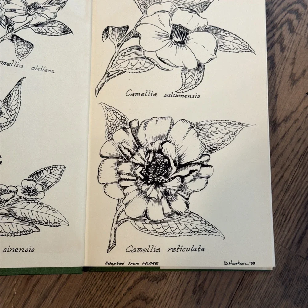 Vtg The Camellia History Culture Genetics 1978 Hardcover Feathers‎ Brown